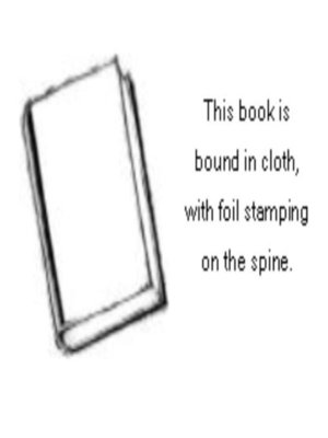 cover image of San Spirituality